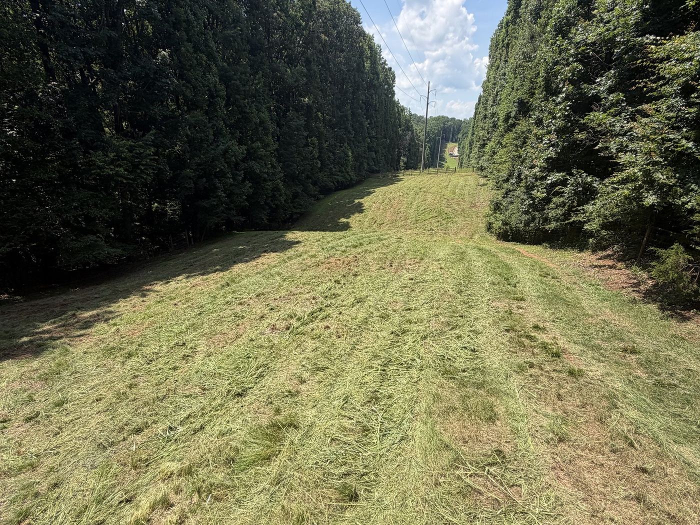 Right-of-way corridor cut clean between the tree lines